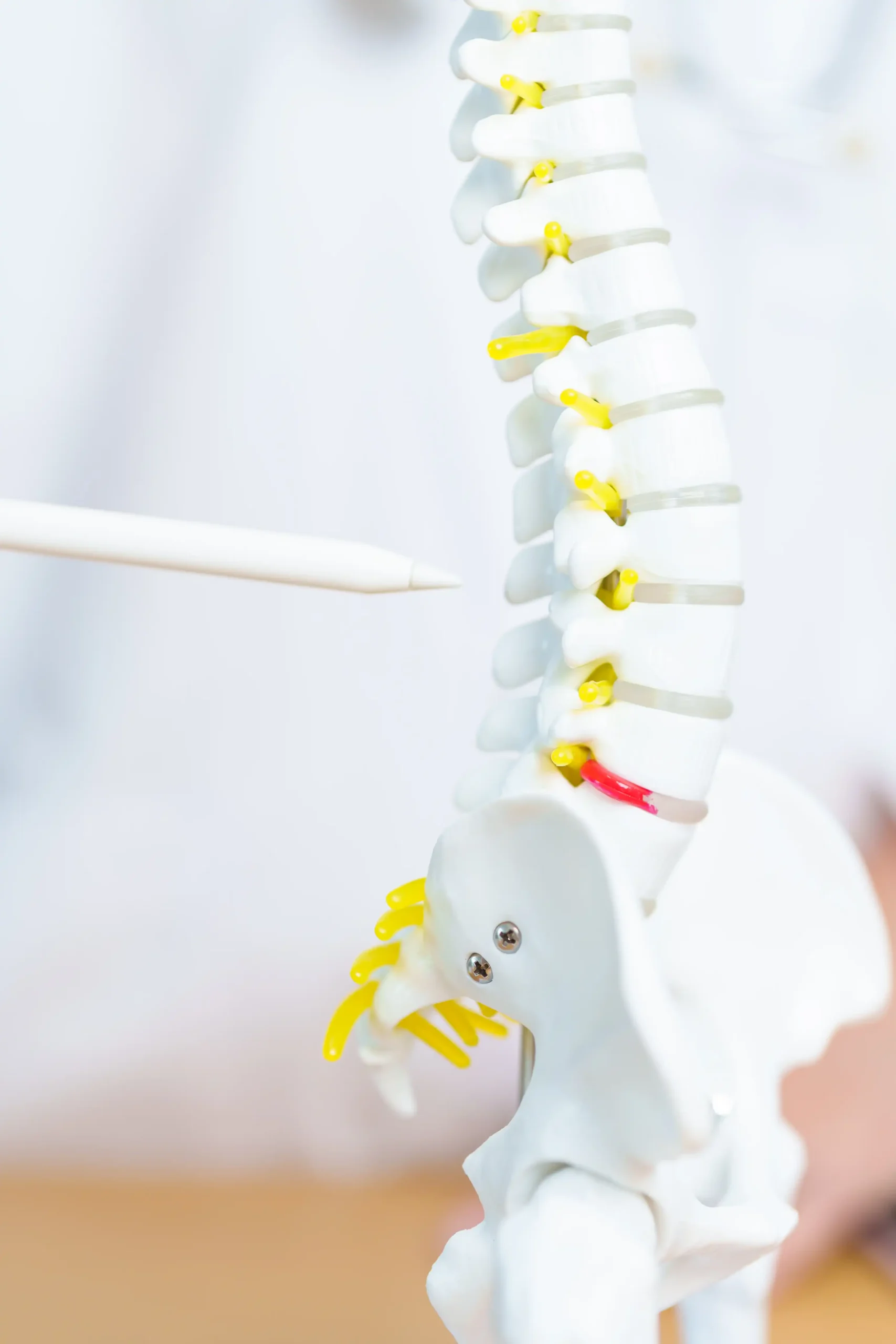 trattamento osteopatico per ernia del disco a Milano