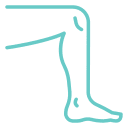 leg